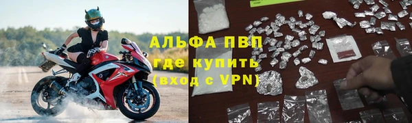 гидра Алексин