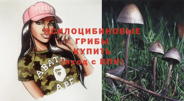 гидра Алексин
