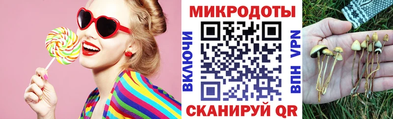 Псилоцибиновые грибы Cubensis  купить  цена  Полтавская 